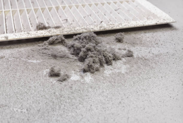 Best Air Vent Cleaning Services  in Clarksville, TN