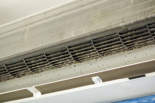 Best HVAC Maintenance and Cleaning  in Clarksville, TN