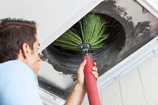 Best Air Duct Mold Removal  in Clarksville, TN